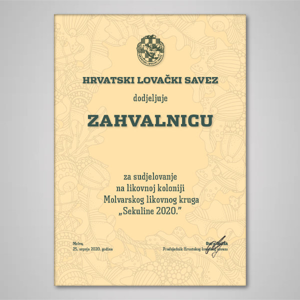 randi oslikavanje vozila