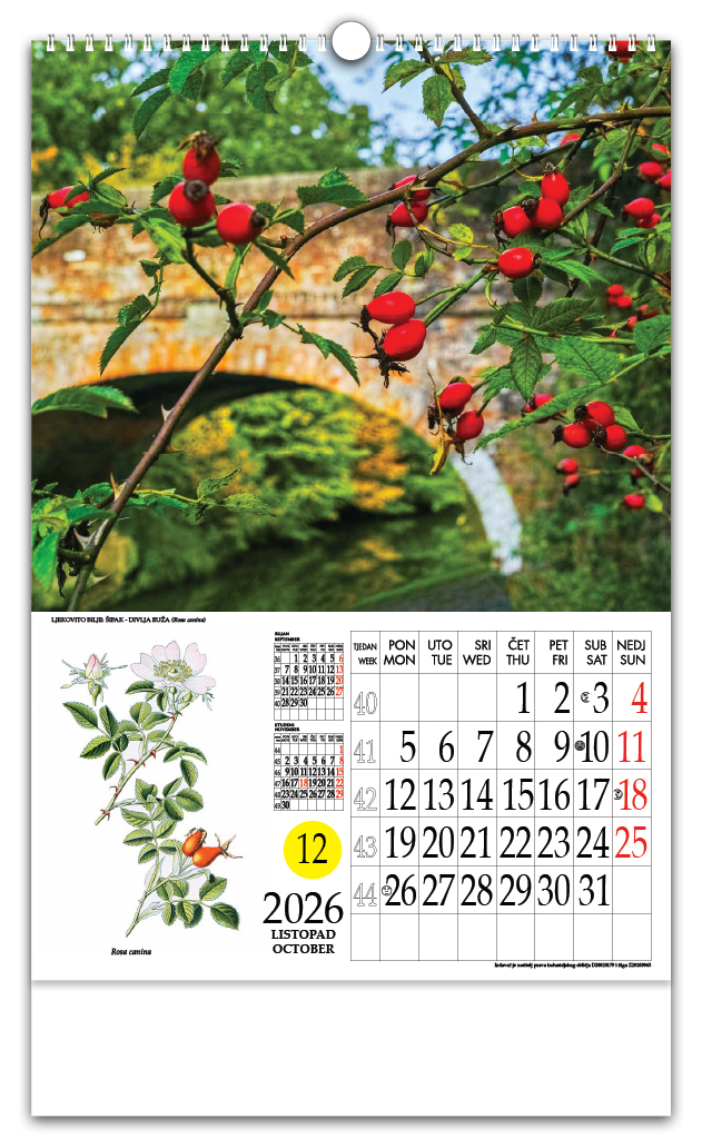 Rotacijski zidni kalendar - "Ljekovito bilje" - Slika 11