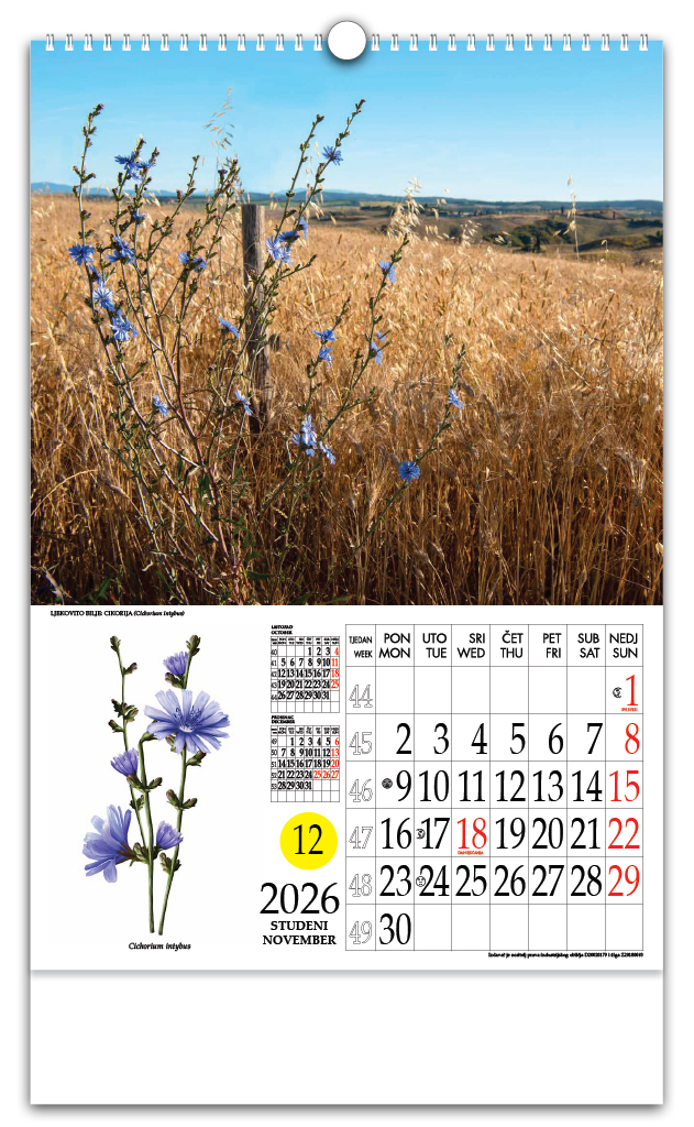 Rotacijski zidni kalendar - "Ljekovito bilje" - Slika 12