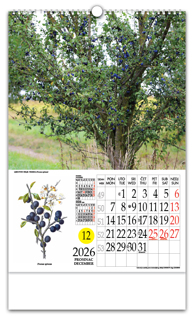 Rotacijski zidni kalendar - "Ljekovito bilje" - Slika 13