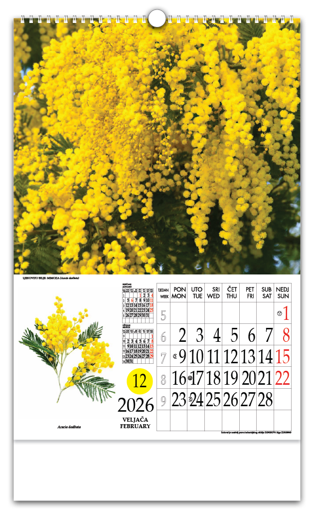 Rotacijski zidni kalendar - "Ljekovito bilje" - Slika 3