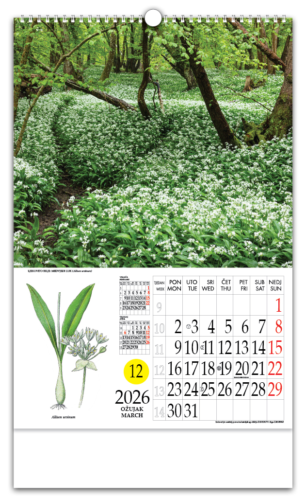 Rotacijski zidni kalendar - "Ljekovito bilje" - Slika 4