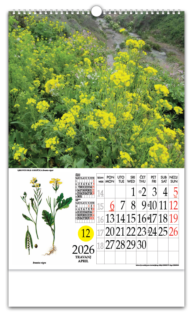 Rotacijski zidni kalendar - "Ljekovito bilje" - Slika 5
