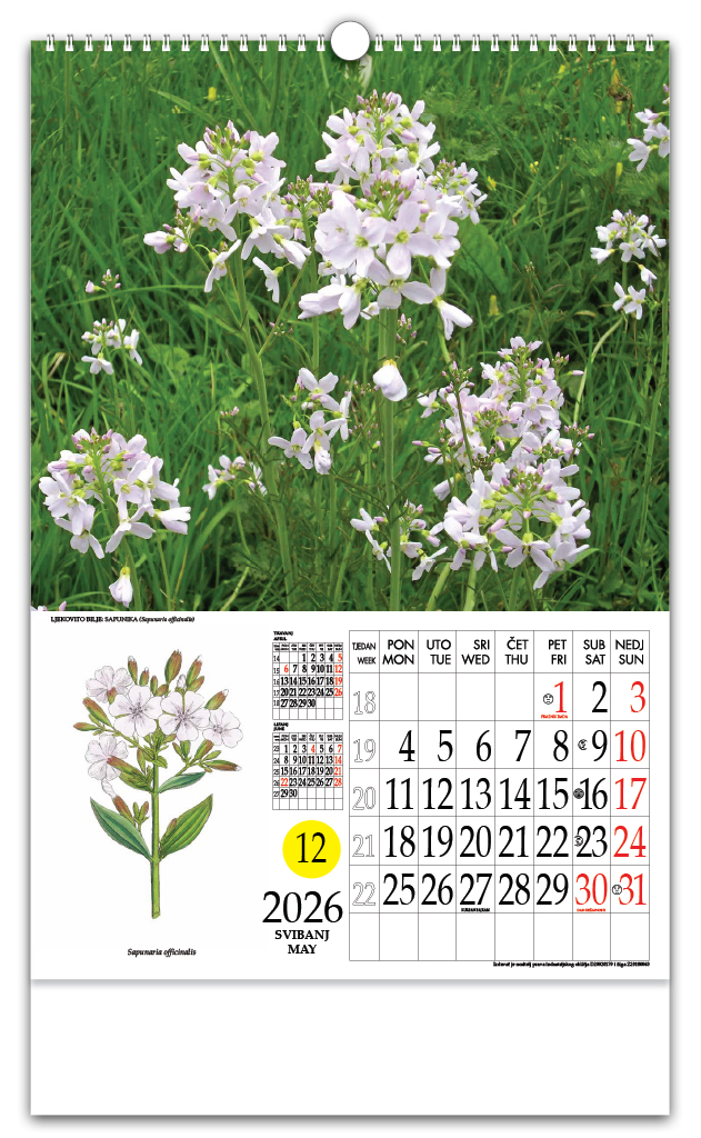 Rotacijski zidni kalendar - "Ljekovito bilje" - Slika 6