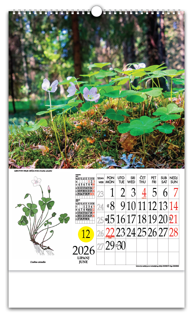 Rotacijski zidni kalendar - "Ljekovito bilje" - Slika 7