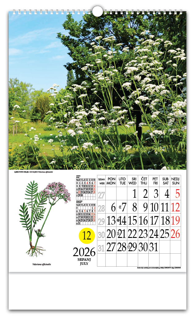 Rotacijski zidni kalendar - "Ljekovito bilje" - Slika 8