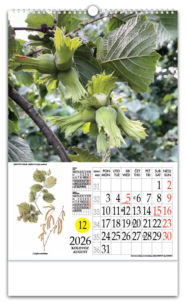 Rotacijski zidni kalendar - "Ljekovito bilje" - Slika 9