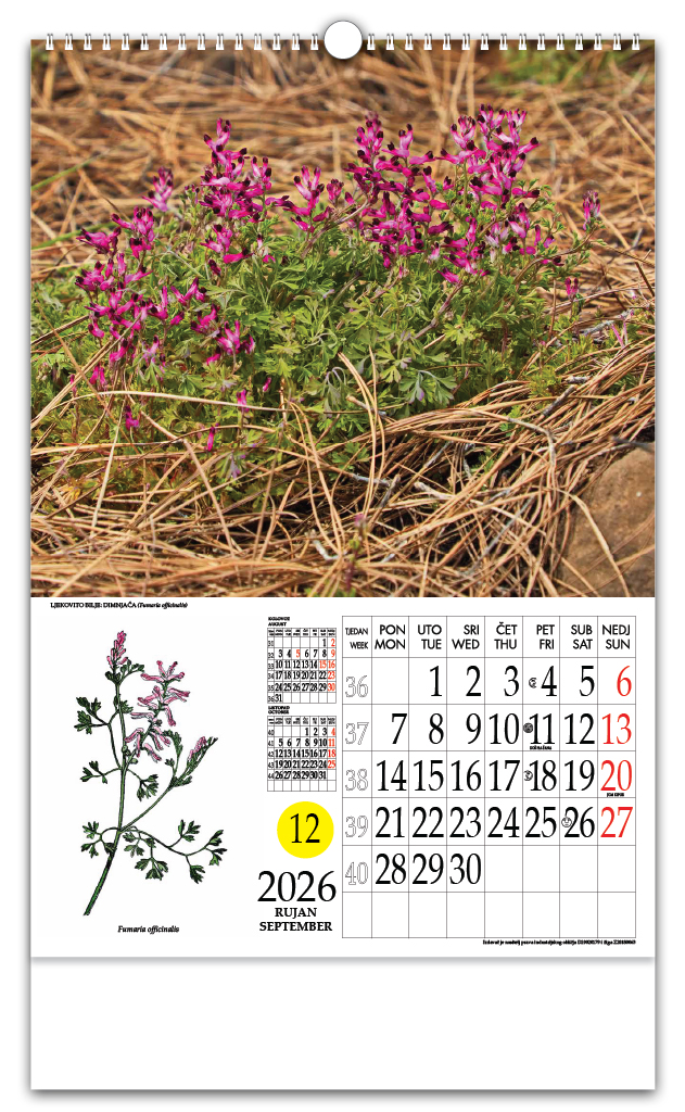 Rotacijski zidni kalendar - "Ljekovito bilje" - Slika 10