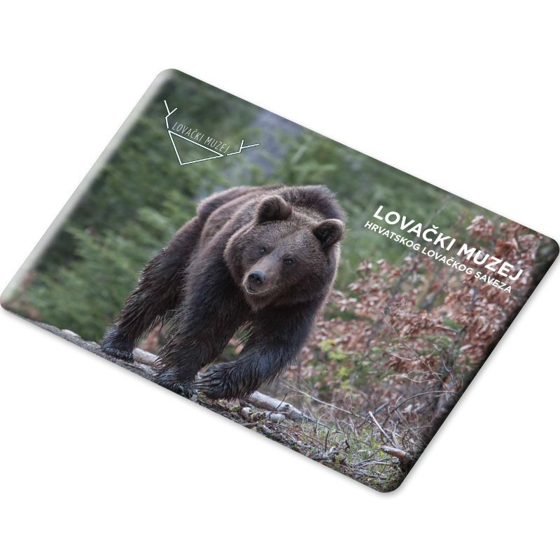 Magnet 8 x 5,5 cm - Slika 10