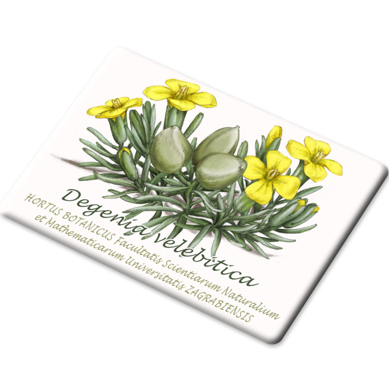 Magnet 8 x 5,5 cm - Slika 14