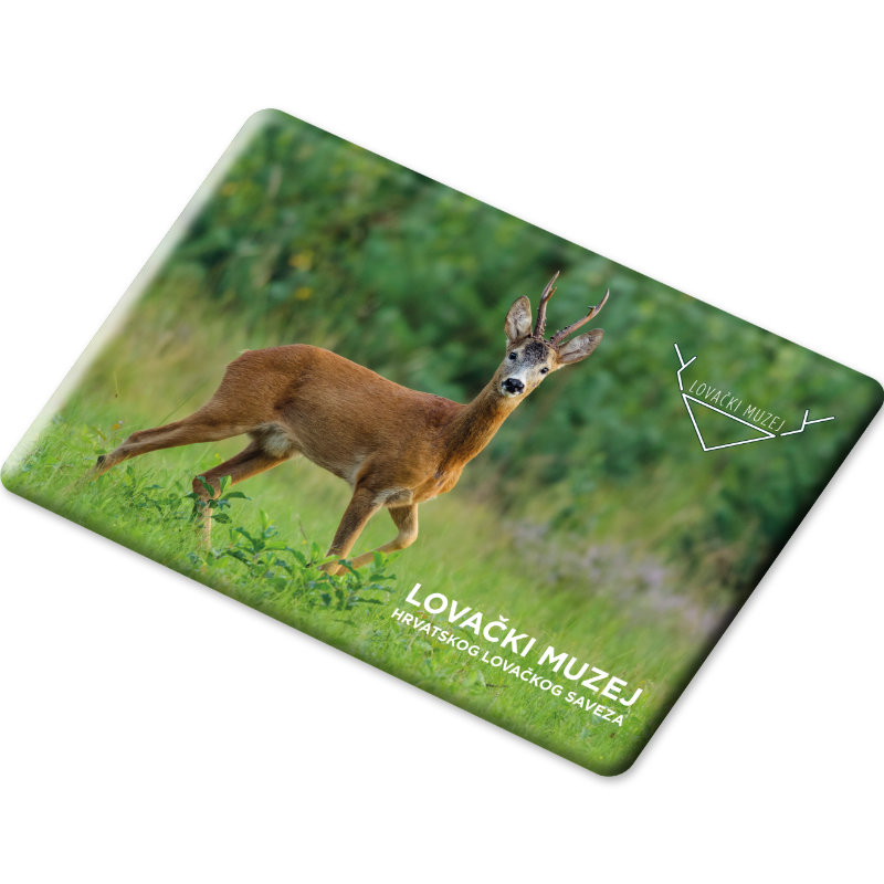 Magnet 8 x 5,5 cm - Slika 7