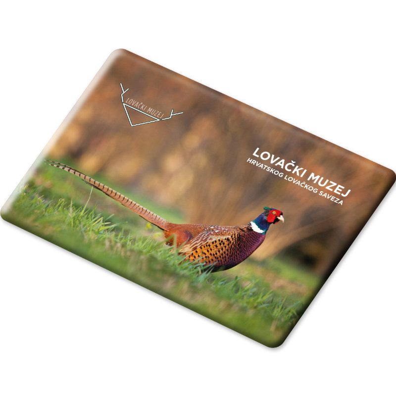 Magnet 8 x 5,5 cm - Slika 8