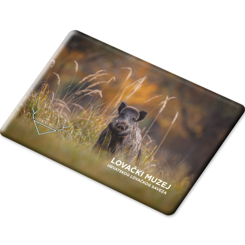 Magnet 8 x 5,5 cm - Slika 9