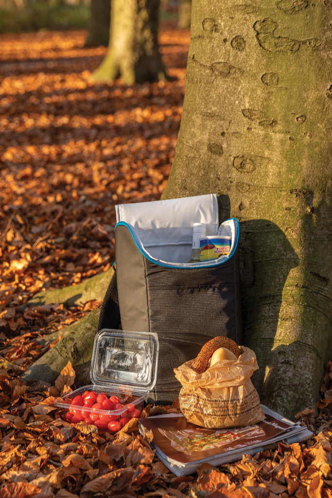 Explorer outdoor cooler backpack - Slika 9